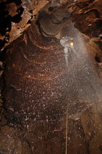 Thumbnail of photo from this article